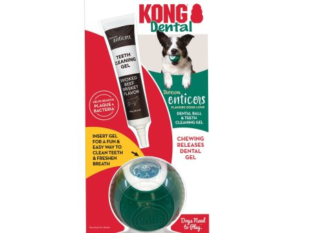 KONG Dental Ball w Tropiclean Enticer Teeth Cleaning Gel Honey Chicken 1ea LG, 1 oz For Discount