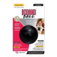 KONG Extreme Ball Dog Toy Black 1ea SM Online