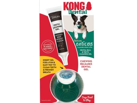 KONG Dental Ball w Tropiclean Enticer Teeth Cleaning Gel Honey Chicken 1ea MD, 1 oz Online now