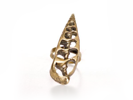 Sea Shell Ring, Vertical For Cheap