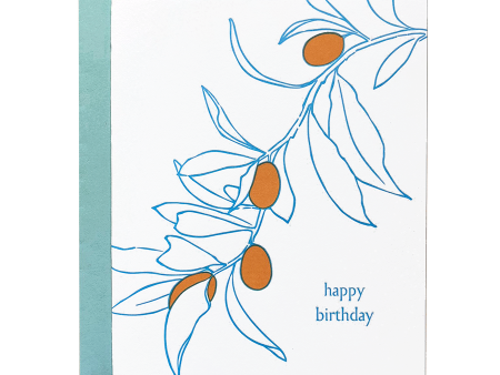 Kumquat Birthday Card Fashion