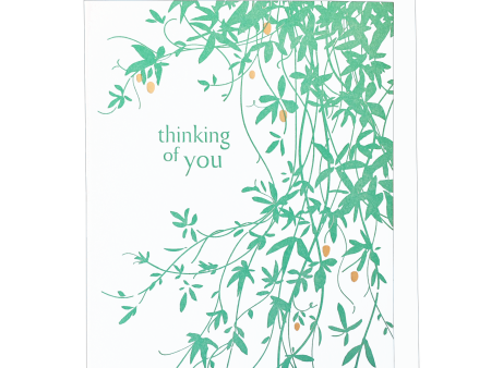 Vine Sympathy Card Online