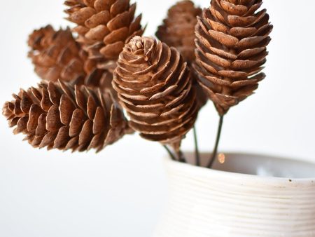 10  Faux Pinecone Stem Bundle For Sale