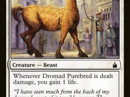 Dromad Purebred [Ravnica: City of Guilds] Online Sale