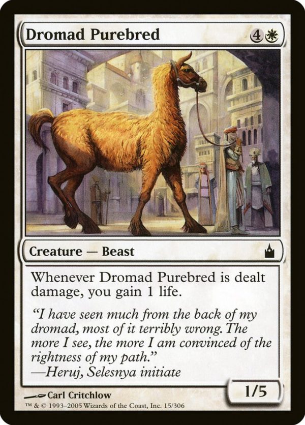 Dromad Purebred [Ravnica: City of Guilds] Online Sale