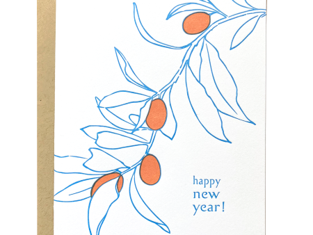 Kumquat New Year Cheap