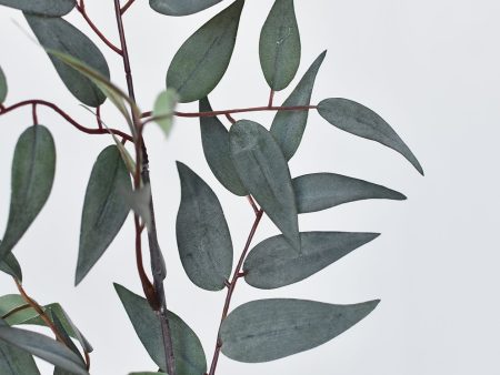 36  Faux Dark Green Gray Ruscus Leaf Stem Discount