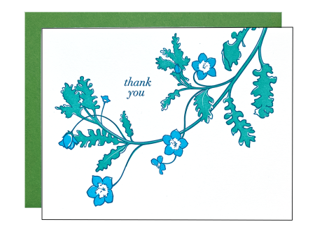 Blue Eyes Thanks Card Hot on Sale