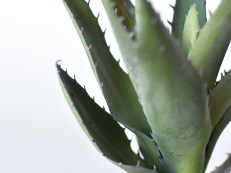 9  Faux Agave Succulent in Pot For Cheap