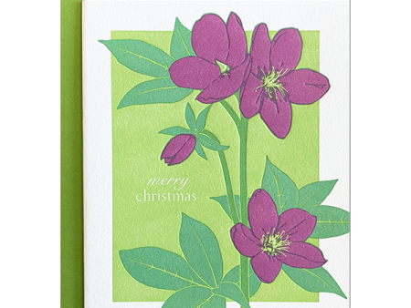 Lenten Rose Christmas Card For Discount