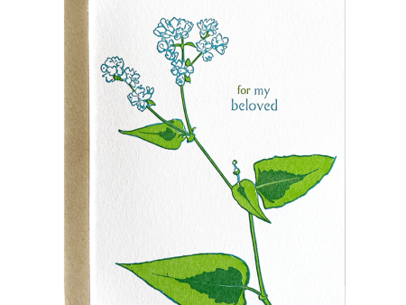 Persicaria Beloved Card Fashion