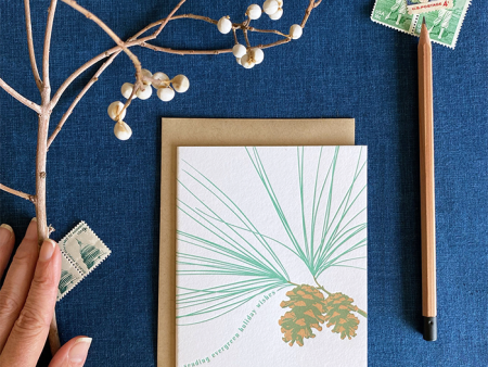 Evergreen Holiday Card on Sale