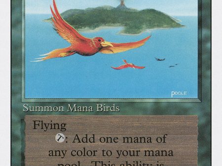 Birds of Paradise [Revised Edition] Cheap