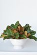 Magnolia Leaf Arrangement with Faux Ring Details Cheap