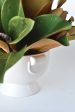 Magnolia Leaf Arrangement with Faux Ring Details Cheap