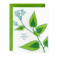 Persicaria Mother s Day Card Fashion