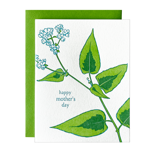 Persicaria Mother s Day Card Fashion