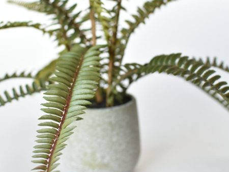 17  Faux Sword Fern in Pot - FERN1 Online Hot Sale