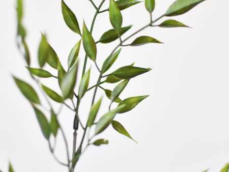 27  Faux Mini Bamboo Leaf Stem Online now