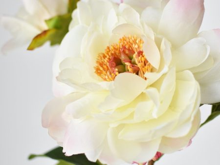 22.5  Faux Peony Stem w Bud Cream White Fashion