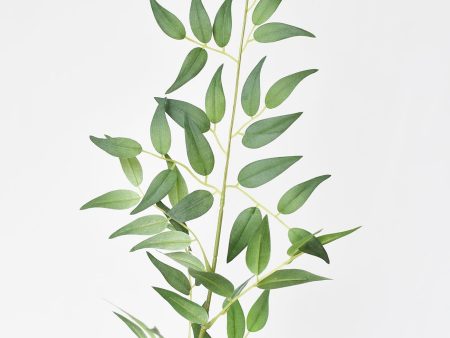 36  Faux Italian Ruscus Stem Online