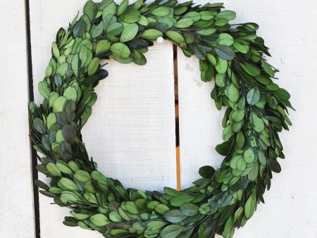 9  Preserved Boxwood Wreath Online now