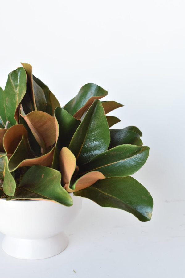 Magnolia Leaf Arrangement with Faux Ring Details Cheap