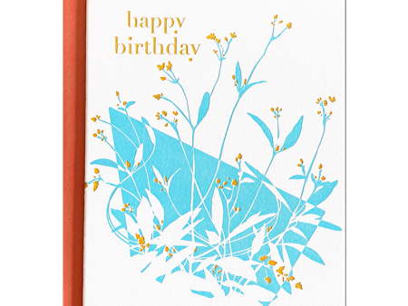 Gomphrena Birthday Card For Cheap