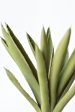 10.5  Faux Realtouch Agave Pick Succulent Cheap