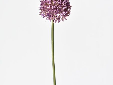 17.5  Faux Purple Allium Spray Stem Hot on Sale