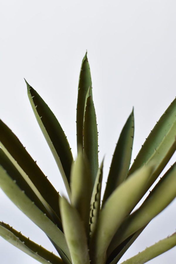 10.5  Faux Realtouch Agave Pick Succulent Cheap