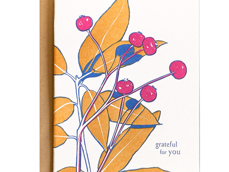 Rose Hip Thanks Card Online now