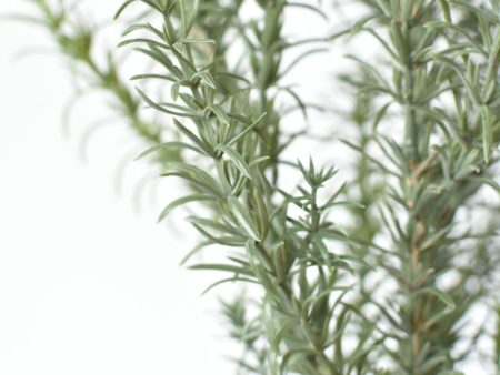 24  Faux Rosemary Bush Cheap