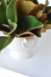 Magnolia Leaf Arrangement with Faux Ring Details Cheap