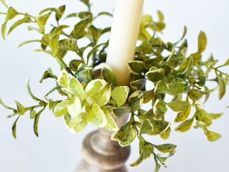 5  Faux Variegated Boxwood Candle Ring (Fits Taper Candle) Online Hot Sale