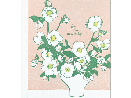 Hellebore Blossoms Baby Card Discount