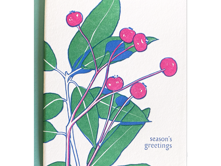 Rose Hip Holiday Card Cheap