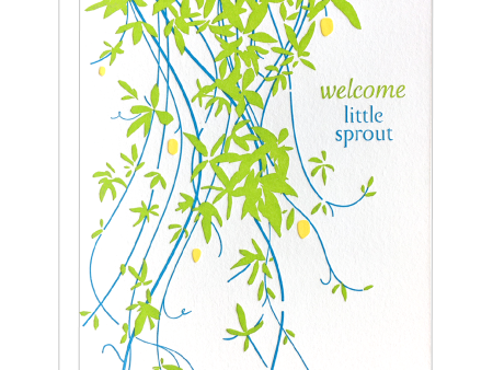 Vine Sprout Baby Card Online now