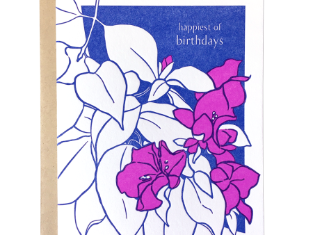 Bougainvillea Birthday Card For Discount