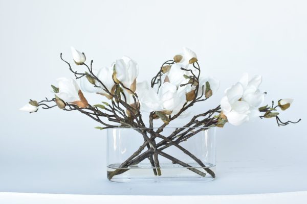 Slim White Magnolia in Glass Arrangement Online