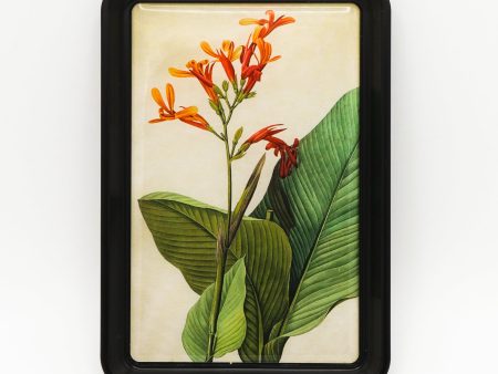 Botanical Art Trinket Tray (Small) For Discount