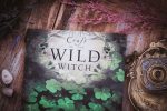 Craft of the Wild Witch For Sale