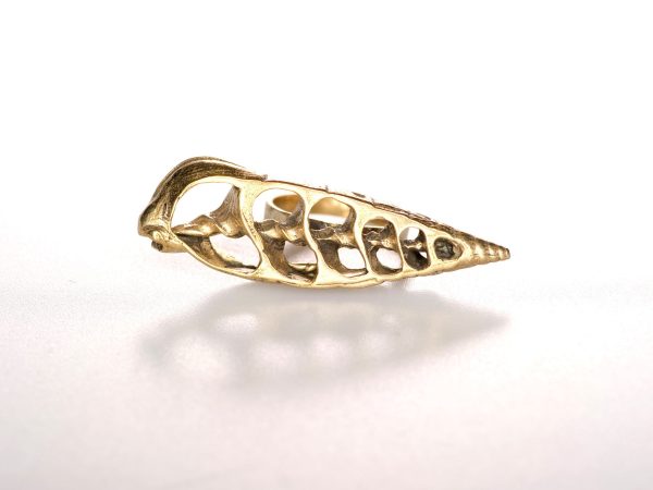 Sea Shell Ring, Horizontal Supply