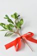 10.5  Faux Mistletoe with Ribbon Supply