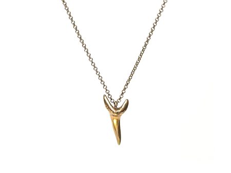 Shark Tooth Necklace For Discount