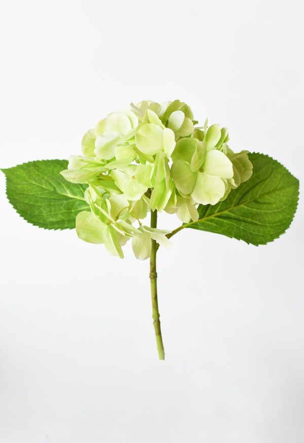 10  Faux Green Hydrangea Stem Discount