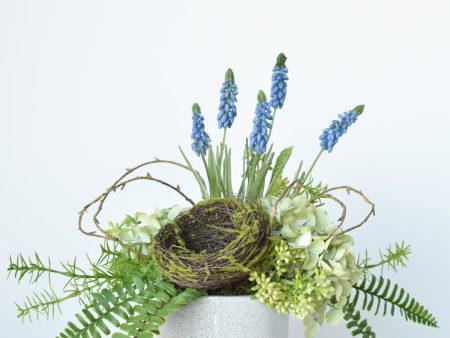 Blue Muscari + Nest Arrangement For Sale