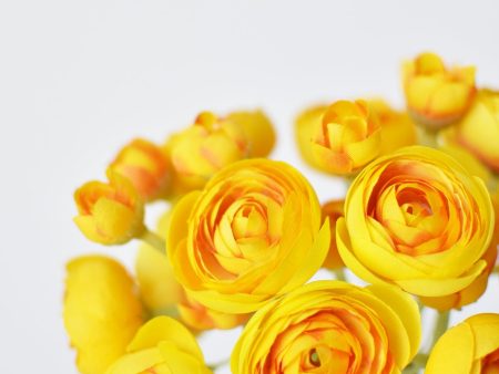 10  Faux Yellow Ranunculus Stem Bundle Sale