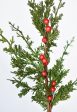 24  Faux Cedar Spray w  Red Berry Stem Online