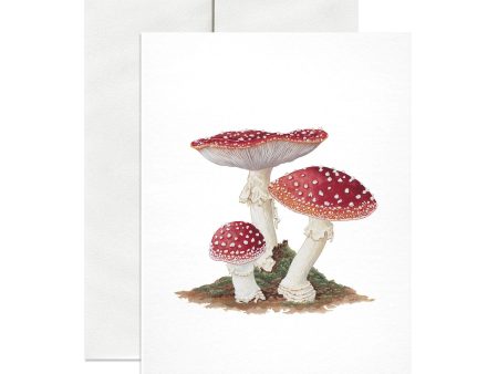 Amanita Muscaria Greeting Card Supply